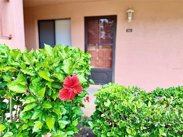 141 Lakeside Dr, Oldsmar, FL 34677 - photo 1