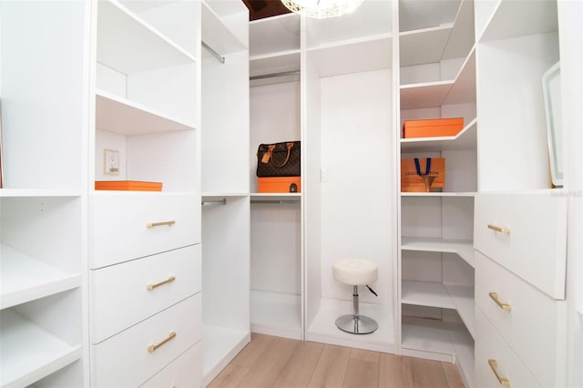 spacious closet with light wood-style floors