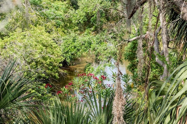 view of local wilderness