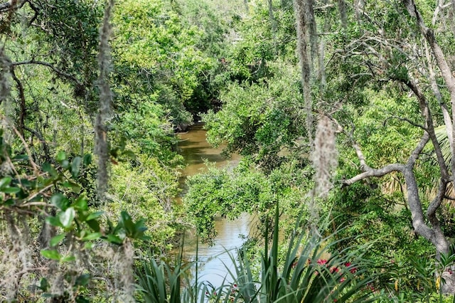 view of nature