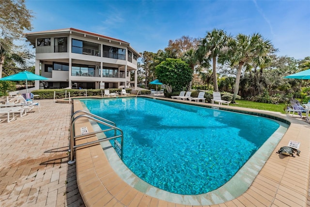 300 S Florida Ave Unit 200J, Tarpon Springs, FL 34689 - community pool with a patio