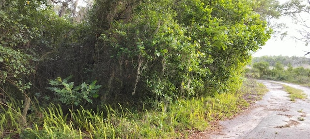 63 N Sheltering Oaks Dr, Inverness, FL 34453