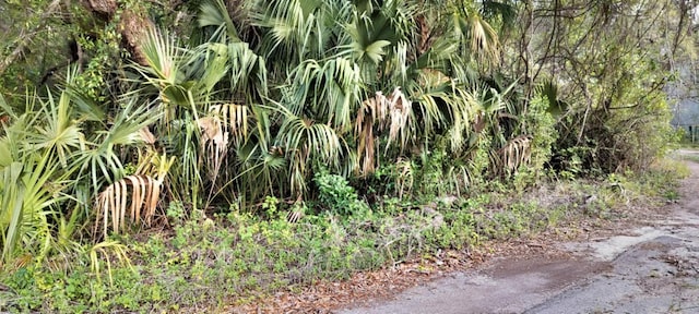 63 N Sheltering Oaks Dr, Inverness, FL 34453