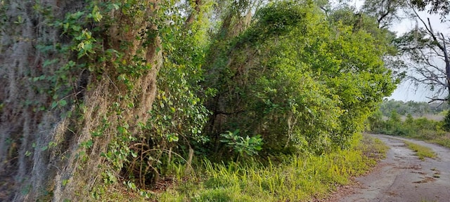 63 N Sheltering Oaks Dr, Inverness, FL 34453