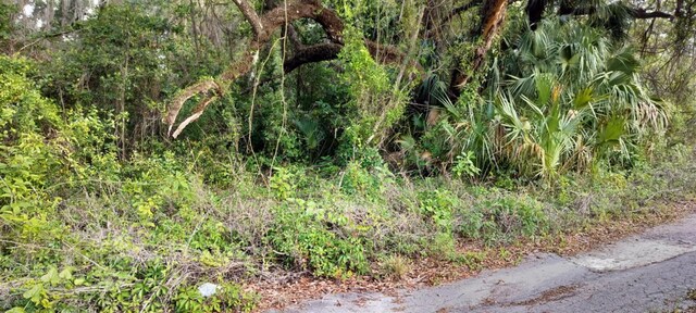 63 N Sheltering Oaks Dr, Inverness, FL 34453