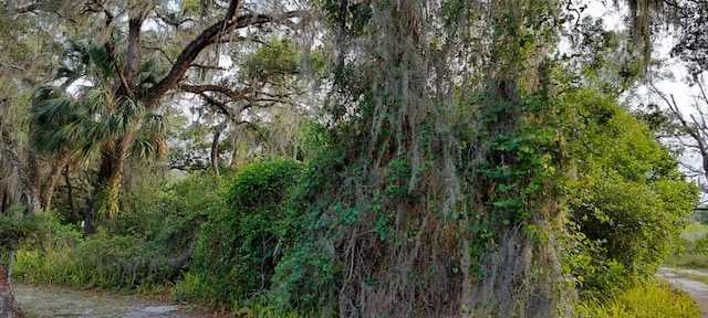 63 N Sheltering Oaks Dr, Inverness, FL 34453