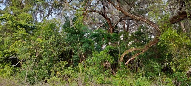63 N Sheltering Oaks Dr, Inverness, FL 34453