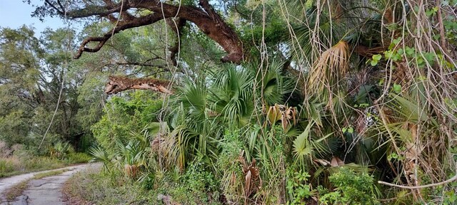 63 N Sheltering Oaks Dr, Inverness, FL 34453