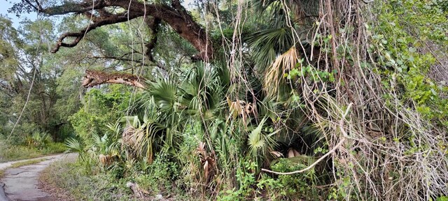 63 N Sheltering Oaks Dr, Inverness, FL 34453