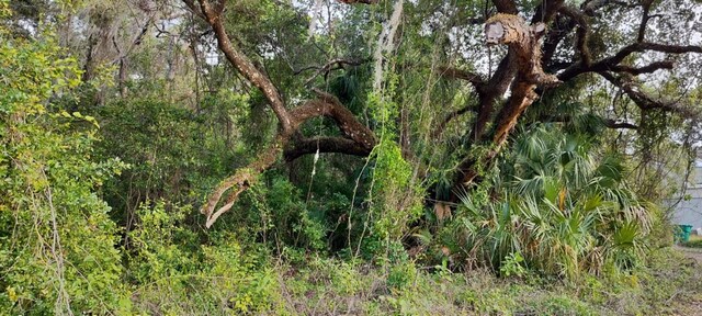 63 N Sheltering Oaks Dr, Inverness, FL 34453