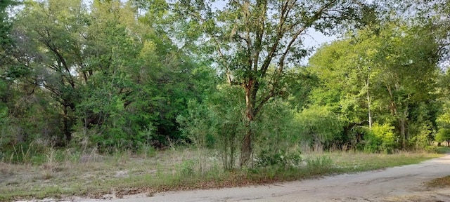 2608 Polk St, Inverness, FL 34453 - photo 1