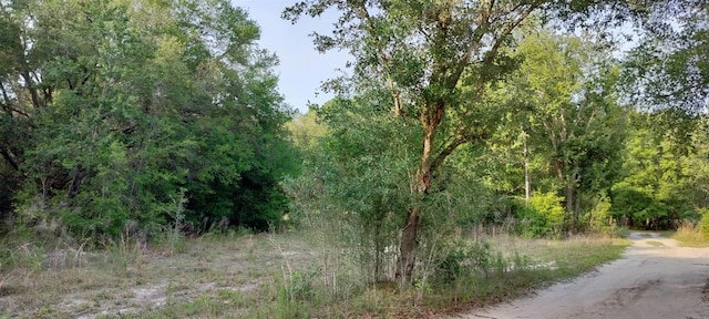 2608 Polk St, Inverness, FL 34453 - photo 3