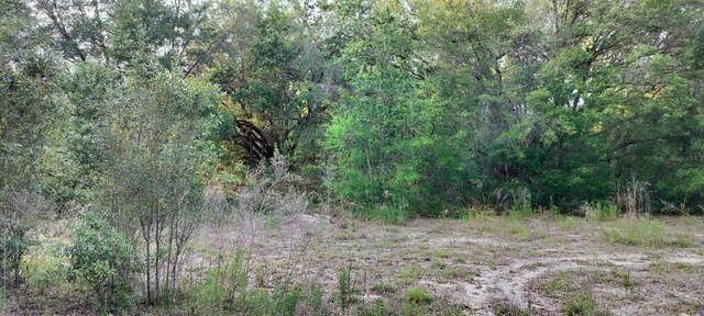 2608 Polk St, Inverness, FL 34453 - photo 4