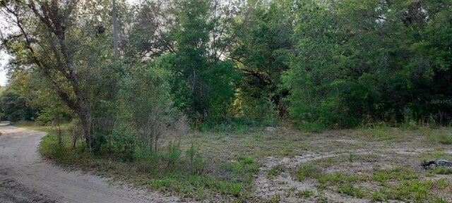 2608 Polk St, Inverness, FL 34453 - photo 5