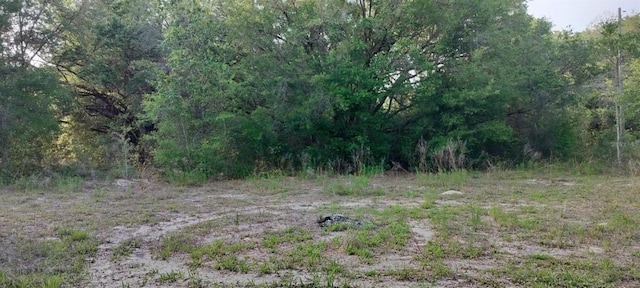 2608 Polk St, Inverness, FL 34453 - photo 6