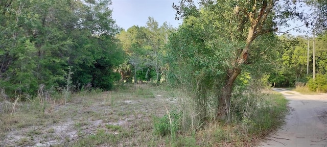 2608 Polk St, Inverness, FL 34453 - photo 7