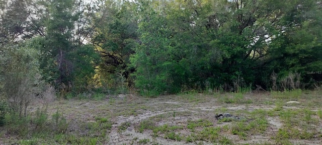 2608 Polk St, Inverness, FL 34453 - photo 9