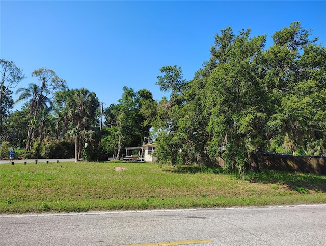 Ornelda St SW, Ruskin, FL 33570 - photo 5