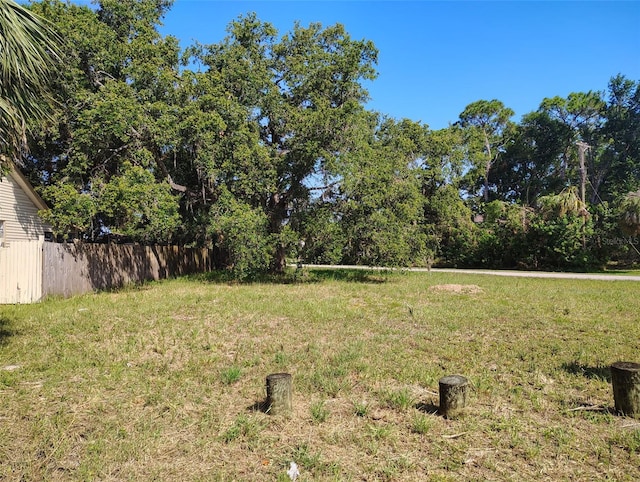 Ornelda St SW, Ruskin, FL 33570 - photo 9