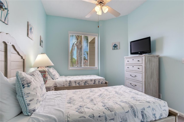 6171 Bahia Del Mar Blvd Unit 216, Saint Petersburg, FL 33715 - photo 15