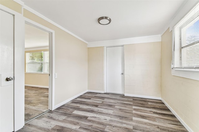 5033 Tammy Ln, Holiday, FL 34690 - photo 25