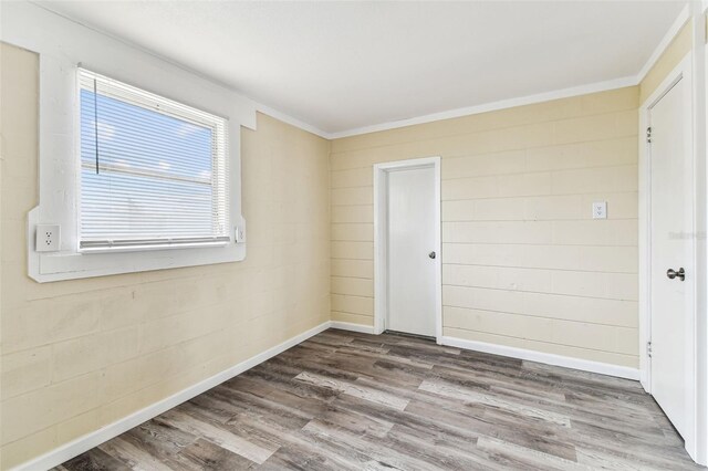 5033 Tammy Ln, Holiday, FL 34690 - photo 27