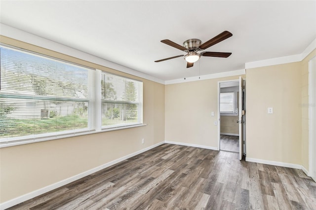 5033 Tammy Ln, Holiday, FL 34690 - photo 50