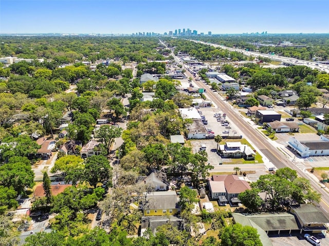 5806 N 9th St, Tampa, FL 33604 - photo 53