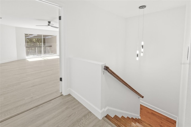 13934 Clubhouse Cir Unit 8, Tampa, FL 33618 - stairs featuring wood finished floors, baseboards, and ceiling fan
