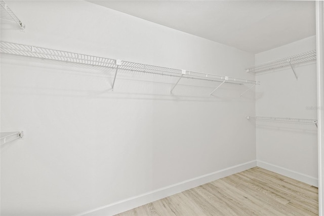 13934 Clubhouse Cir Unit 8, Tampa, FL 33618 - spacious closet with light wood-style floors