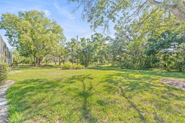 13934 Clubhouse Cir Unit 8, Tampa, FL 33618 - view of green lawn