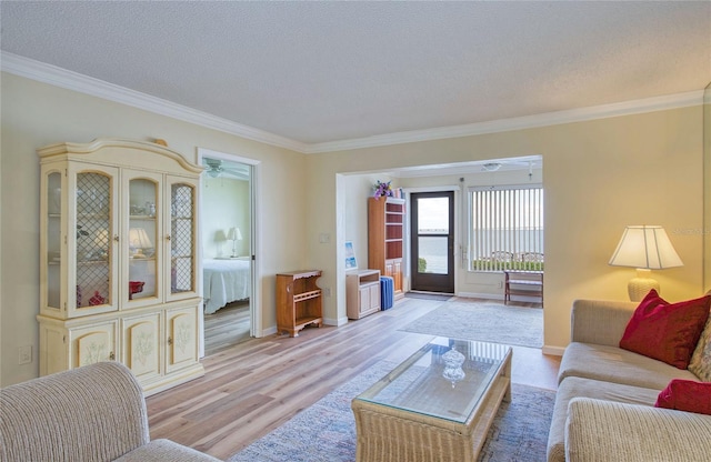 19029 US Highway 19 N Unit 31F, Clearwater, FL 33764 - living room featuring ornamental molding, a textured ceiling, light wood-type flooring, and baseboards