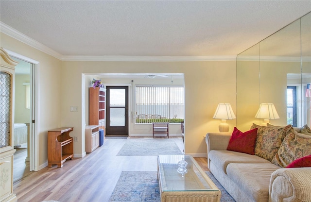 19029 US Highway 19 N Unit 31F, Clearwater, FL 33764 - living area with wood finished floors, a textured ceiling, crown molding, and baseboards