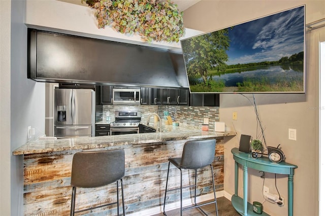 2816 Manor Hill Dr, Brandon, FL 33511 - kitchen featuring appliances with stainless steel finishes, decorative backsplash, dark cabinetry, and light stone countertops