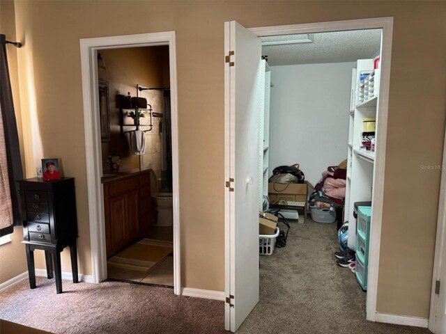 2816 Manor Hill Dr, Brandon, FL 33511 - hallway with carpet floors and baseboards