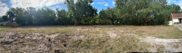 Steel Dust Ln, Lutz, FL 33559 - photo 2