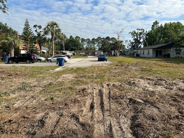 Steel Dust Ln, Lutz, FL 33559 - photo 3