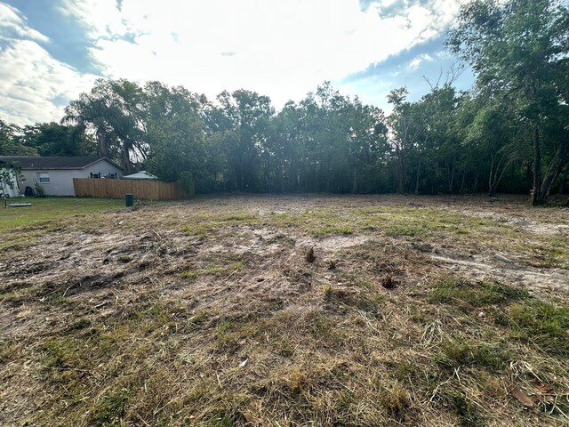 Steel Dust Ln, Lutz, FL 33559 - photo 4