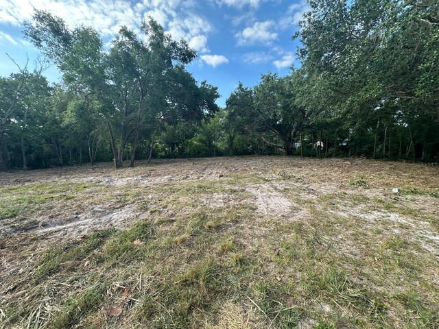 Steel Dust Ln, Lutz, FL 33559 - photo 5