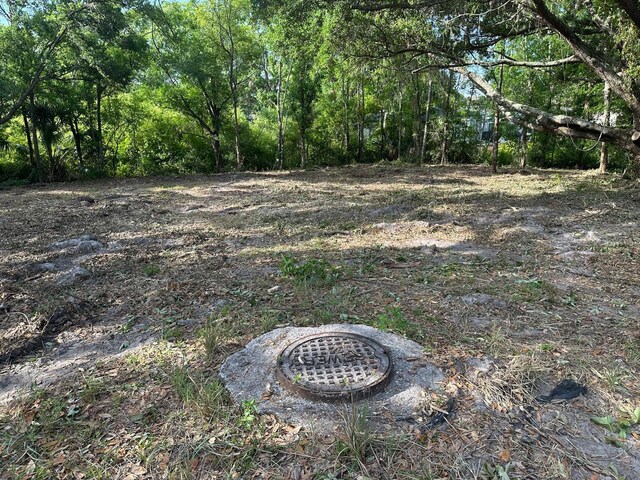 Steel Dust Ln, Lutz, FL 33559 - photo 6