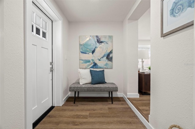 foyer featuring wood finished floors and baseboards