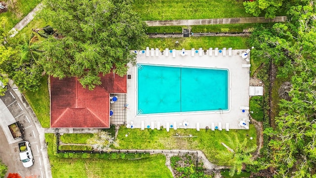 2597 Countryside Blvd Unit 206, Clearwater, FL 33761 - photo 25