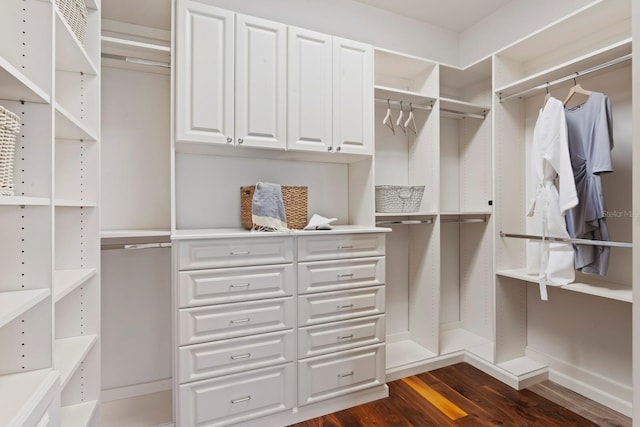 17129 Breeders Cup Dr, Odessa, FL 33556 - spacious closet featuring dark wood-type flooring