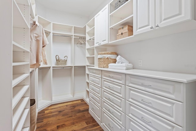 17129 Breeders Cup Dr, Odessa, FL 33556 - spacious closet featuring dark wood-type flooring