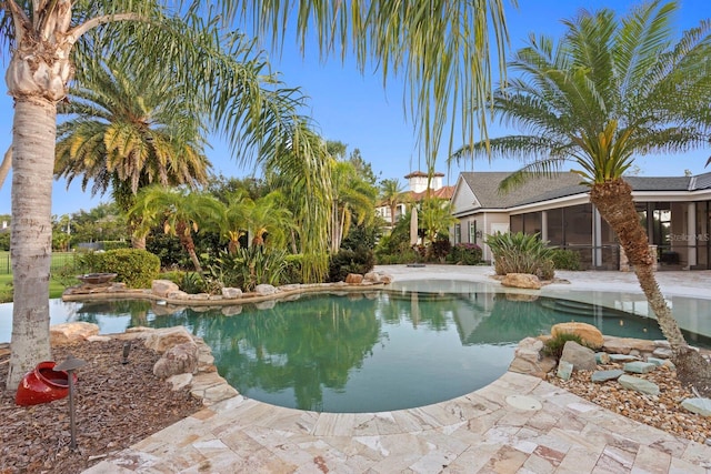 17129 Breeders Cup Dr, Odessa, FL 33556 - swimming pool with a sunroom