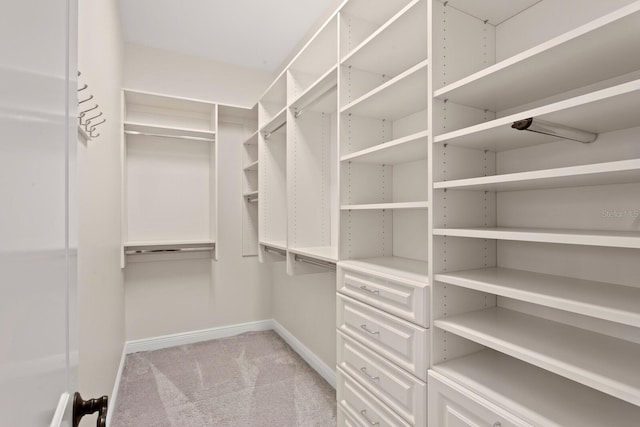 17129 Breeders Cup Dr, Odessa, FL 33556 - walk in closet with light colored carpet