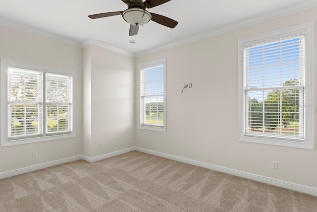 17129 Breeders Cup Dr, Odessa, FL 33556 - spare room featuring light colored carpet, healthy amount of natural light, baseboards, and ornamental molding