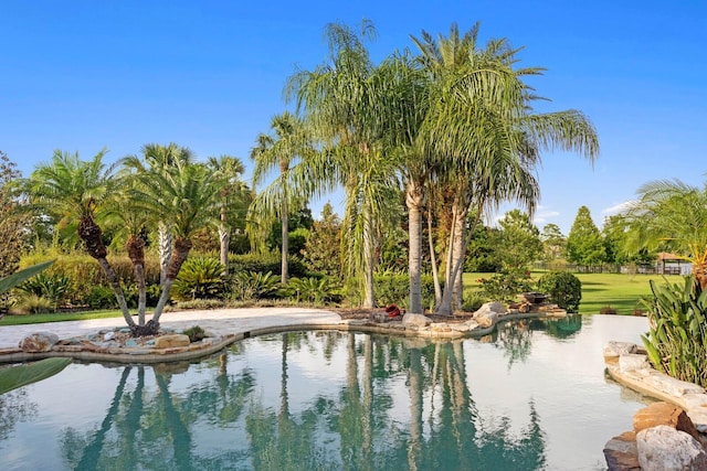 17129 Breeders Cup Dr, Odessa, FL 33556 - view of outdoor pool