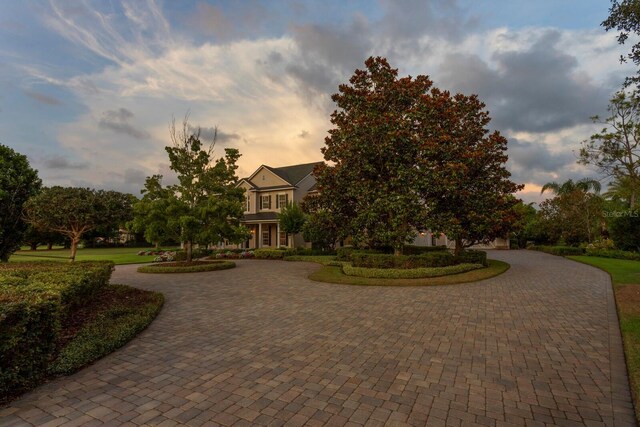 17129 Breeders Cup Dr, Odessa, FL 33556 - obstructed view of property with curved driveway