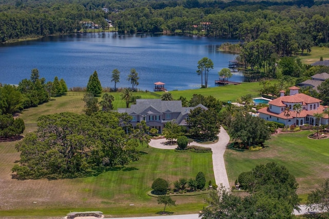 17129 Breeders Cup Dr, Odessa, FL 33556 - view from above of property with a large body of water and a heavily wooded area
